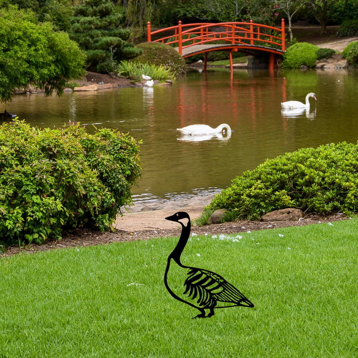 Aberto Design Goose 03 Negro Aberto Design Goose 03 Negro